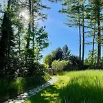 Architect-designed By Forest *