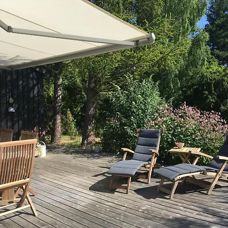 Architect-designed By Forest