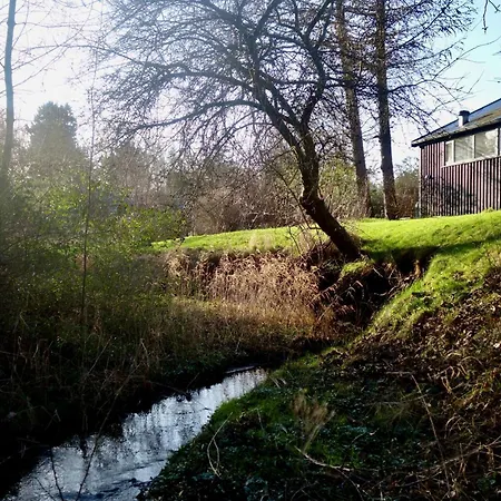 Architect-designed By Forest 度假居