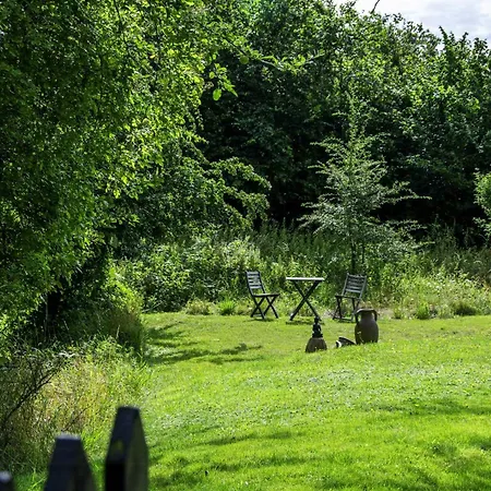 Architect-designed By Forest